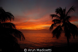 backyard sunset.... 02.03.13 by Arun Madisetti 